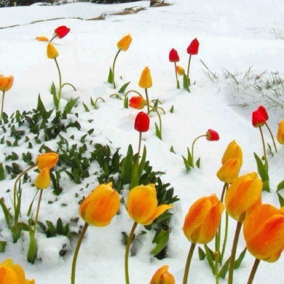 Meet your Posher, Leta - Picture 2 of 8